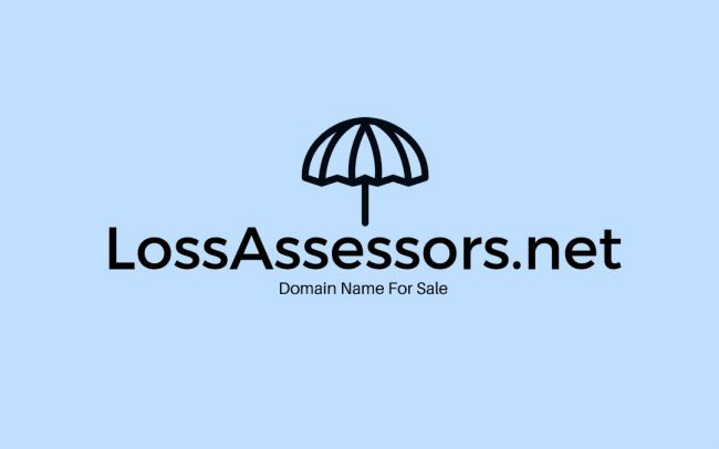 LossAssessors.net Domain Name For Sale